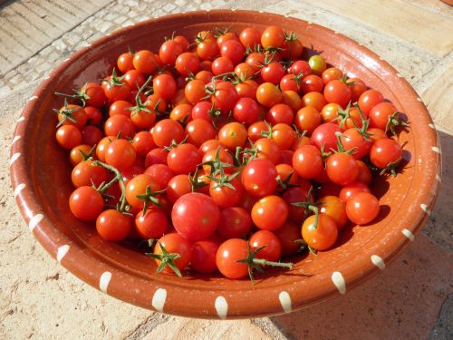 tomatoes red cherry