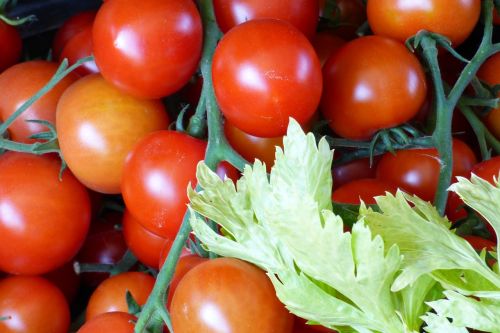tomatoes food healthy