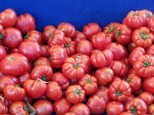 tomatoes vegetable food