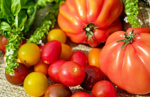 tomatoes colorful vitamins