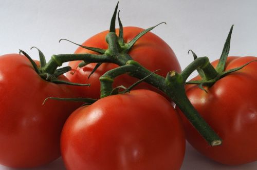 tomatoes fresh food