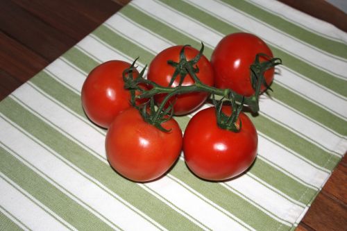 tomatoes fresh vegetables