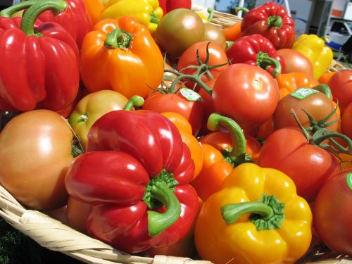 tomatoes peppers greenhouse