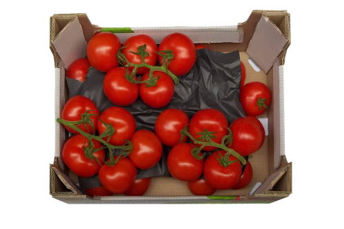 tomatoes trusses box