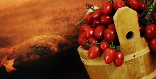 tomatoes wooden bucket collect