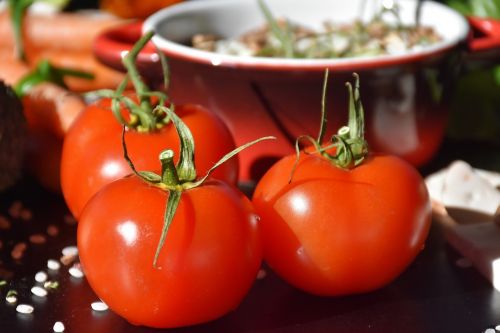 tomatoes cook vegetarian