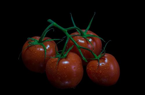 tomatoes fruits fruit