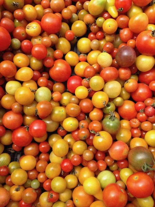 tomatoes vegetables market