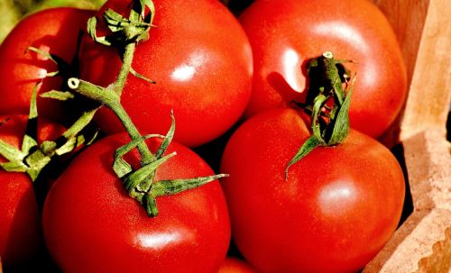 tomatoes vegetables bucket