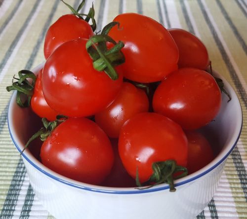 tomatoes vegetables red