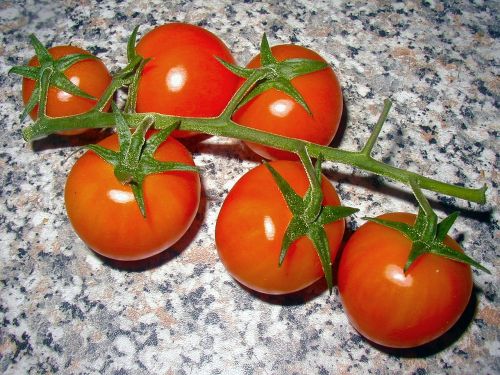 tomatoes vegetables food