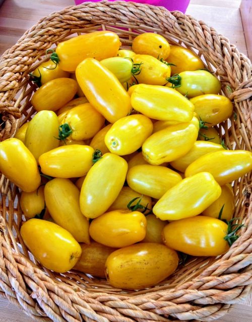 tomatoes yellow basket