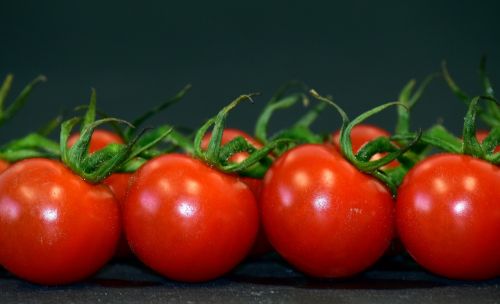 tomatoes perennials tomatoes panicle