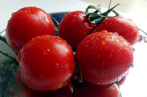 tomatoes food frisch
