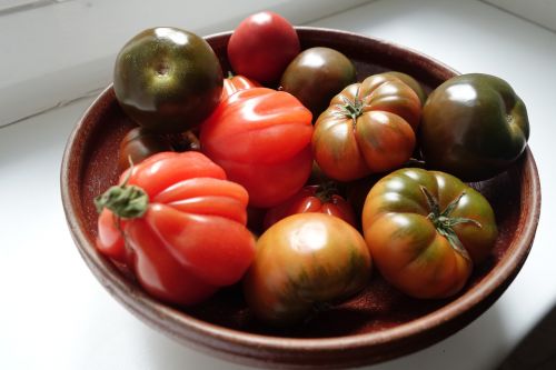 tomatoes food fruit