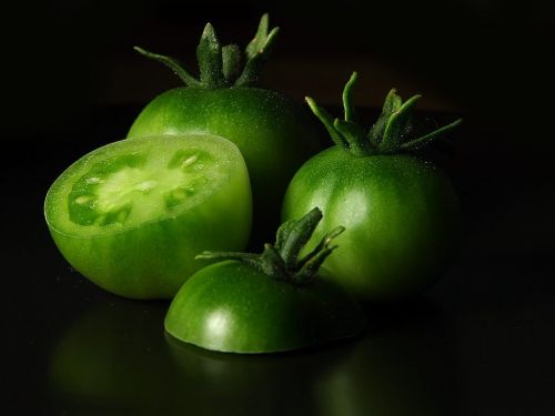 tomatoes green still life