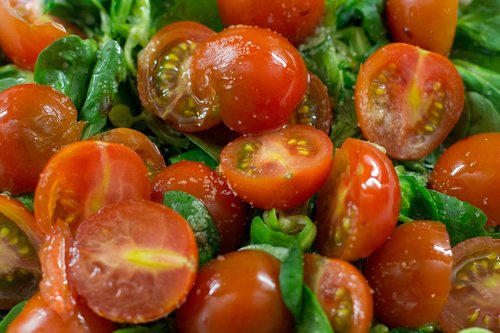 tomatoes  salad  red