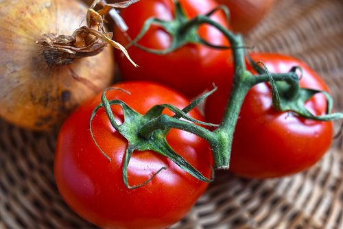 tomatoes  vegetable  nutrition