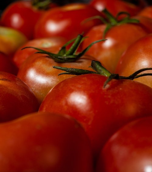 tomatoes  vegetables  red