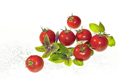 tomatoes  basil  food