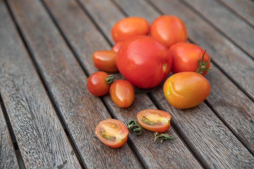tomatoes  tomato  food