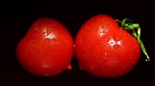 tomatoes  red  eat