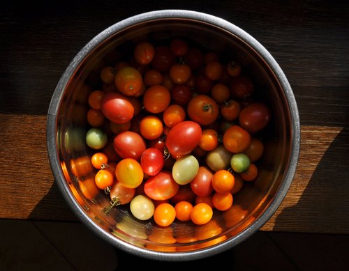 tomatoes  bowl  vegetables