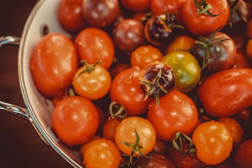 tomatoes  colorful  bio