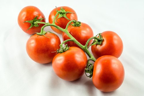 tomatoes  red  bush