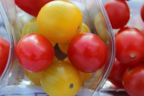 tomatoes food vegetables