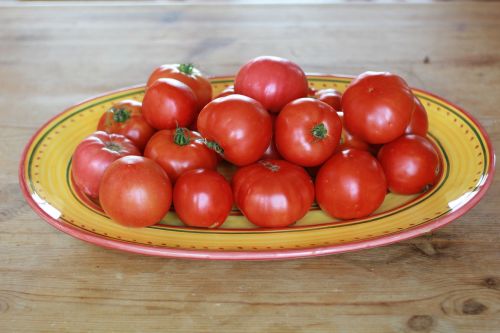 tomatoes platter garden
