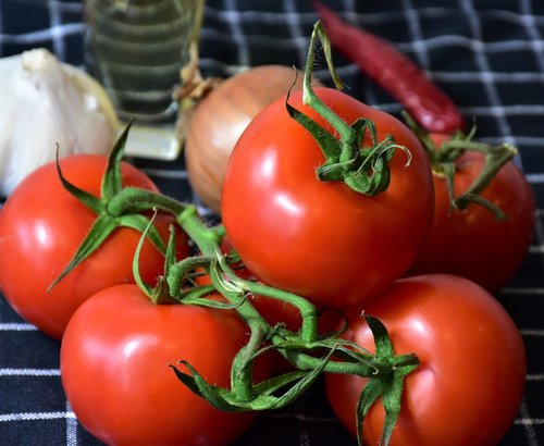 tomatoes  fruit  red