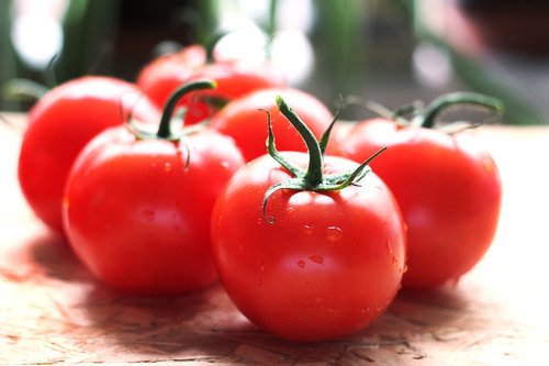 tomatoes  fruit  vegetable