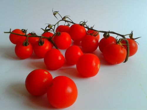 tomatoes cocktail vegetables