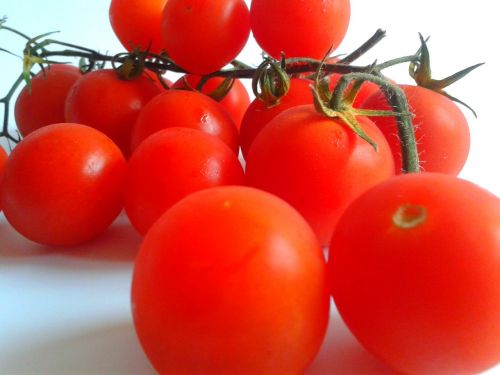 tomatoes cocktail vegetables