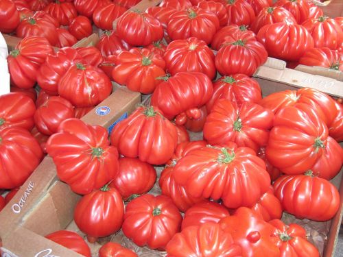 tomatoes vegetables market