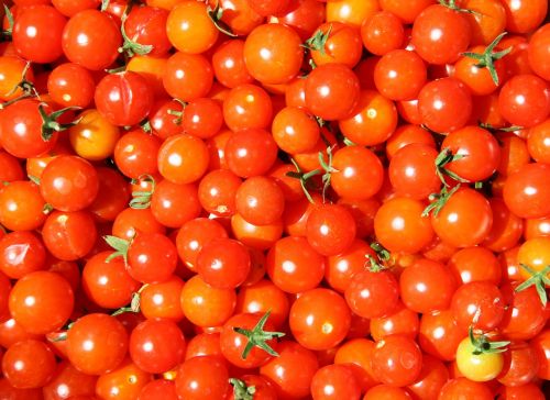 tomatoes cherry red tomato baby tomato