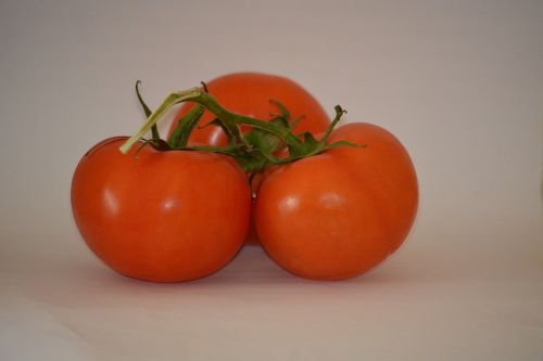 tomatoes fruit red
