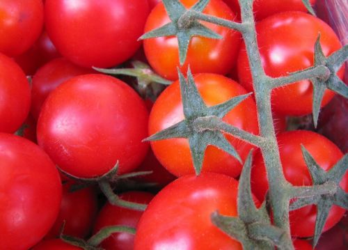 tomatoes red vegetables