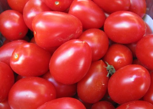 tomatoes red vegetables