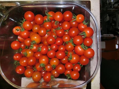 tomatoes vegetables salad