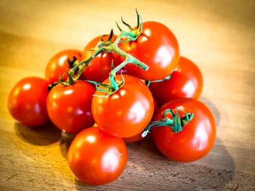 tomatoes tomato datailaufnahme