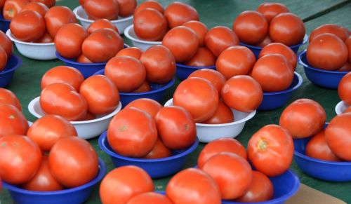 Tomatoes For Sale