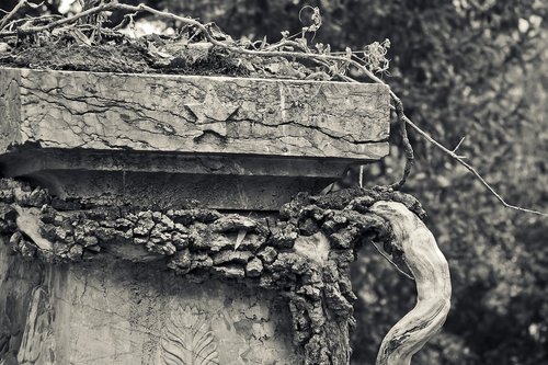 tombstone  grave  cemetery