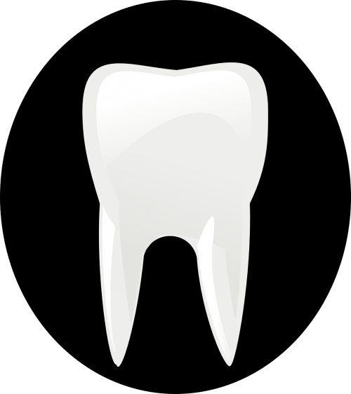 tooth bite dentist
