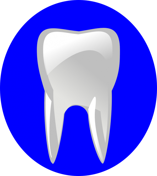 tooth blue circle