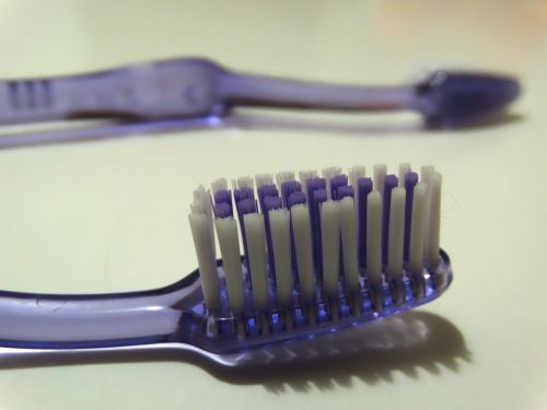 tooth brushes bristles dental care