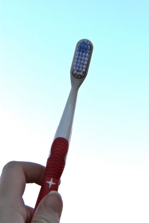 toothbrush hygiene dental