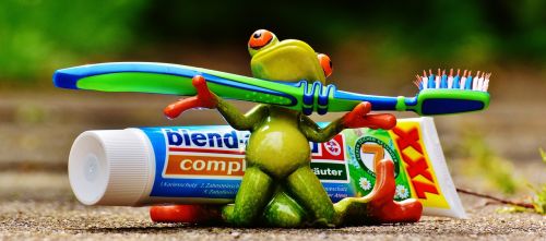 toothpaste frog toothbrush