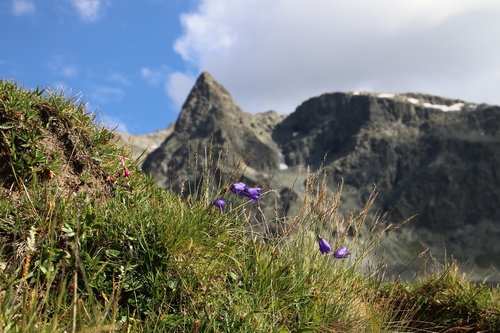 tops  meadow  tour